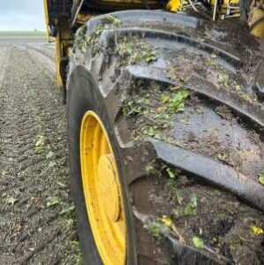 Kombajn buraczany ROPA